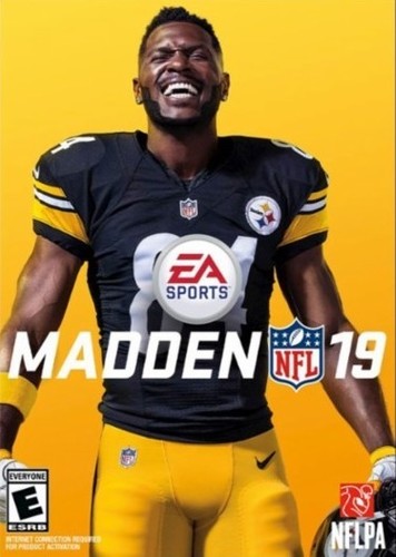 Madden NFL 19 [P] [ENG / ENG] (2018) [Scene]