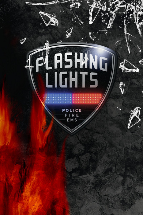 Flashing Lights - Police, Firefighting, Emergency Services Simulator / Flashing Lights - Полиция, Пожарные, Симулятор экстренных служб [P] [RUS + ENG + 19] (2023) (1.0) [Scene]