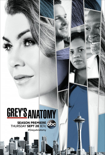 Анатомия страсти / Анатомия Грей / Grey's Anatomy / Сезон: 14 / Серии: 1-24 из 24 (Роб Корн) [2017, США, Драма, мелодрама, медицина, WEB-DL 1080p] Original + Rus Sub (FanatoMy Team) + Eng Sub