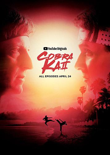 Кобра Кай / Cobra Kai / Сезон: 2 / Серии: 1-10 из 10 (Джон Харвитц, Хейден Шлоссберг, Дженнифер Челотта) [2019, США, Комедия, спорт, боевик, драма, HEVC, WEBRip 2160p, 4k] MVO (TVShows) + MVO (AlexFilm) + MVO (VSI Moscow) + Original + Sub (Rus, Eng + Multi)