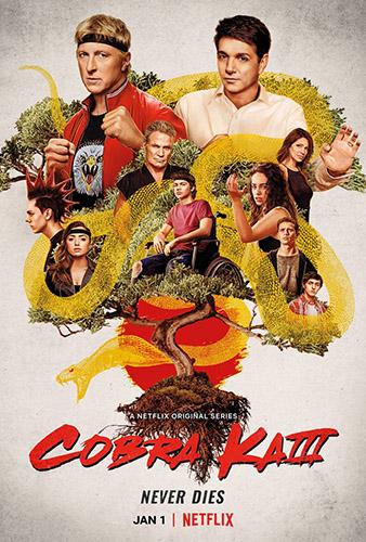 Кобра Кай / Cobra Kai / Сезон: 3 / Серии: 1-10 из 10 (Джон Харвитц, Хейден Шлоссберг, Дженнифер Челотта) [2021, США, Комедия, спорт, боевик, драма, HEVC, WEBRip 2160p, 4k] MVO (AlexFilm) + MVO (VSI Moscow) + Original + Sub (Rus, Eng + Multi)