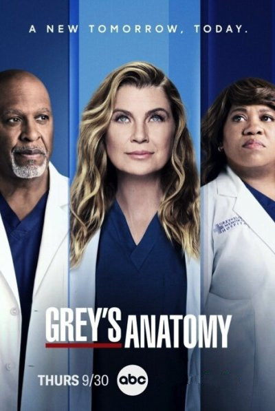 Анатомия страсти / Grey's Anatomy / Сезон: 20 / Серии: 1-2 из 10 (Роб Корн, Дебби Аллен, Кевин МакКидд) [2024, США, Драма, мелодрама, WEB-DL 720p] MVO (TVShows) + Original