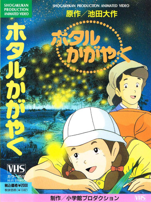 Сияющие светлячки / Hotaru Kagayaku [TV] [1 из 1] [Без хардсаба] [JAP+Sub] [1991, драма, VHSRip]