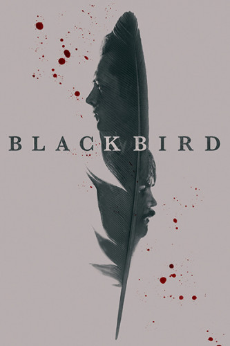 Чёрная птица / Black Bird / Сезон: 1 / Серии: 1-6 из 6 (Михаэль Р. Роскам, Джо Чаппелль, Джим МакКэй) [2022, США, Триллер, драма, криминал, детектив, WEB-DLRip] Dub (Пифагор)