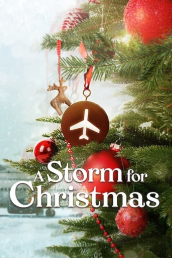 Рождественская буря / A Storm for Christmas / Серии: 1-6 из 6 (Пер-Олав Соренсен) [2022, Норвегия, драма, комедия, WEB-DL 1080p] MVO (HDrezka Studio) + Original + Eng + Sub (Rus, Nor, Fng)