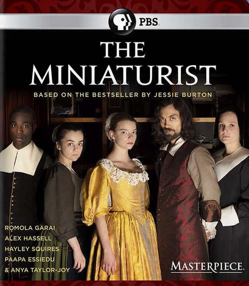 Миниатюрист / The Miniaturist / Сезон: 1 / Серии: 1-3 из 3 (Гильем Моралес / Guillem Morales) [2017, Великобритания, драма, история, BDRemux 1080p] MVO (SDI Media)